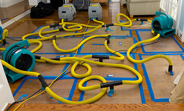 Professional Storm Water Damage Restoration technician working in Rocky Ford, CO